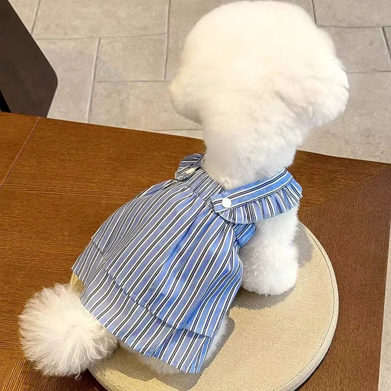 Robe Pour Chien - Au Choix
