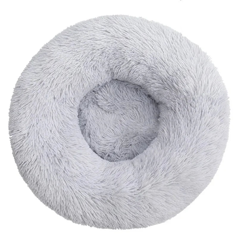 Coussin pour Chien