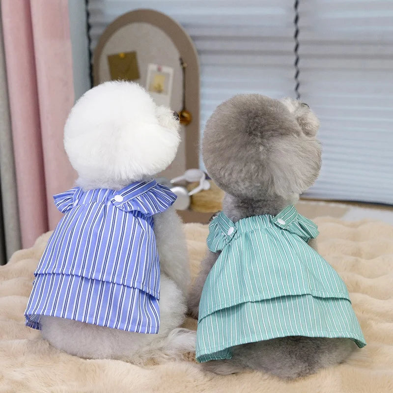 Robe Pour Chien - Au Choix