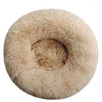 Coussin pour Chien