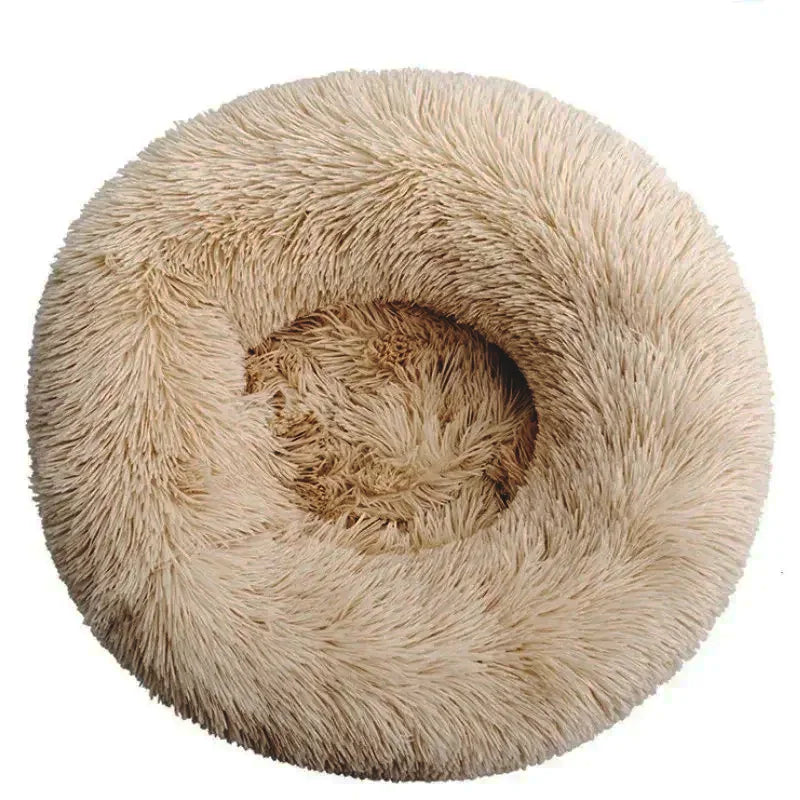 Coussin pour Chien
