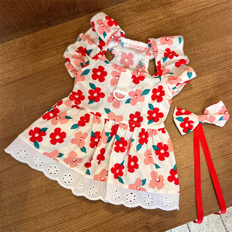 Robe Pour Chat