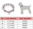 Collier de Dressage