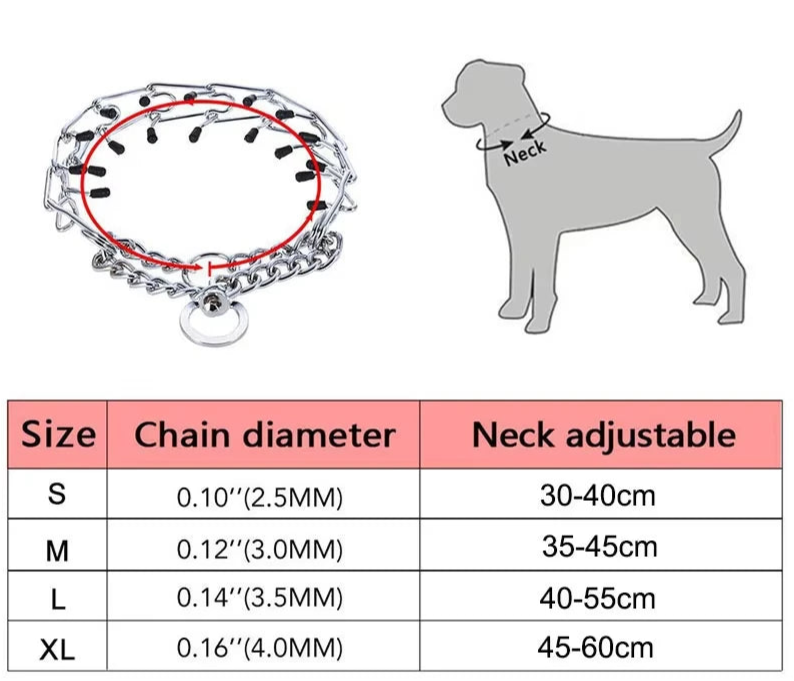 Collier de Dressage