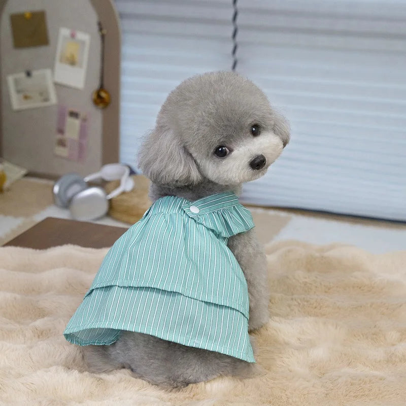 Robe Pour Chien - Au Choix