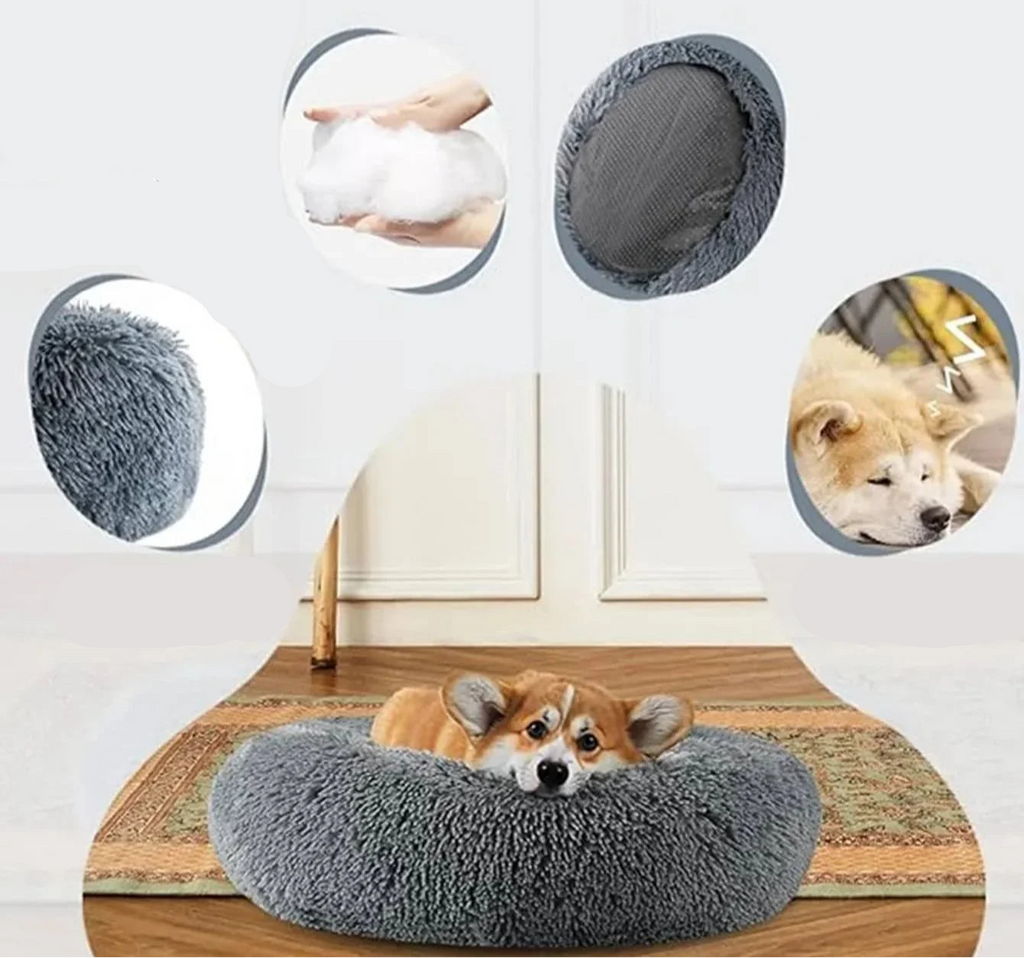 Coussin pour Chien