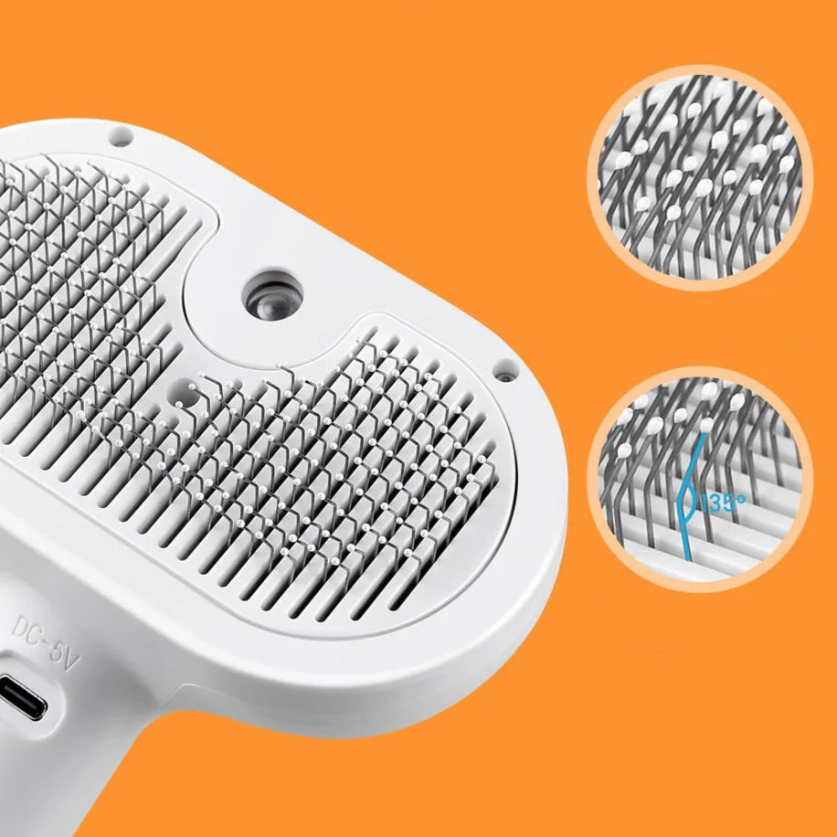 Brosse Vapeur pour Chat