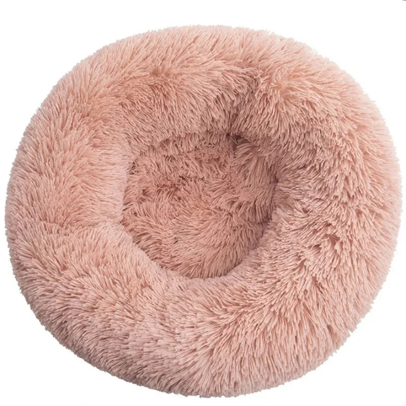 Coussin pour Chien