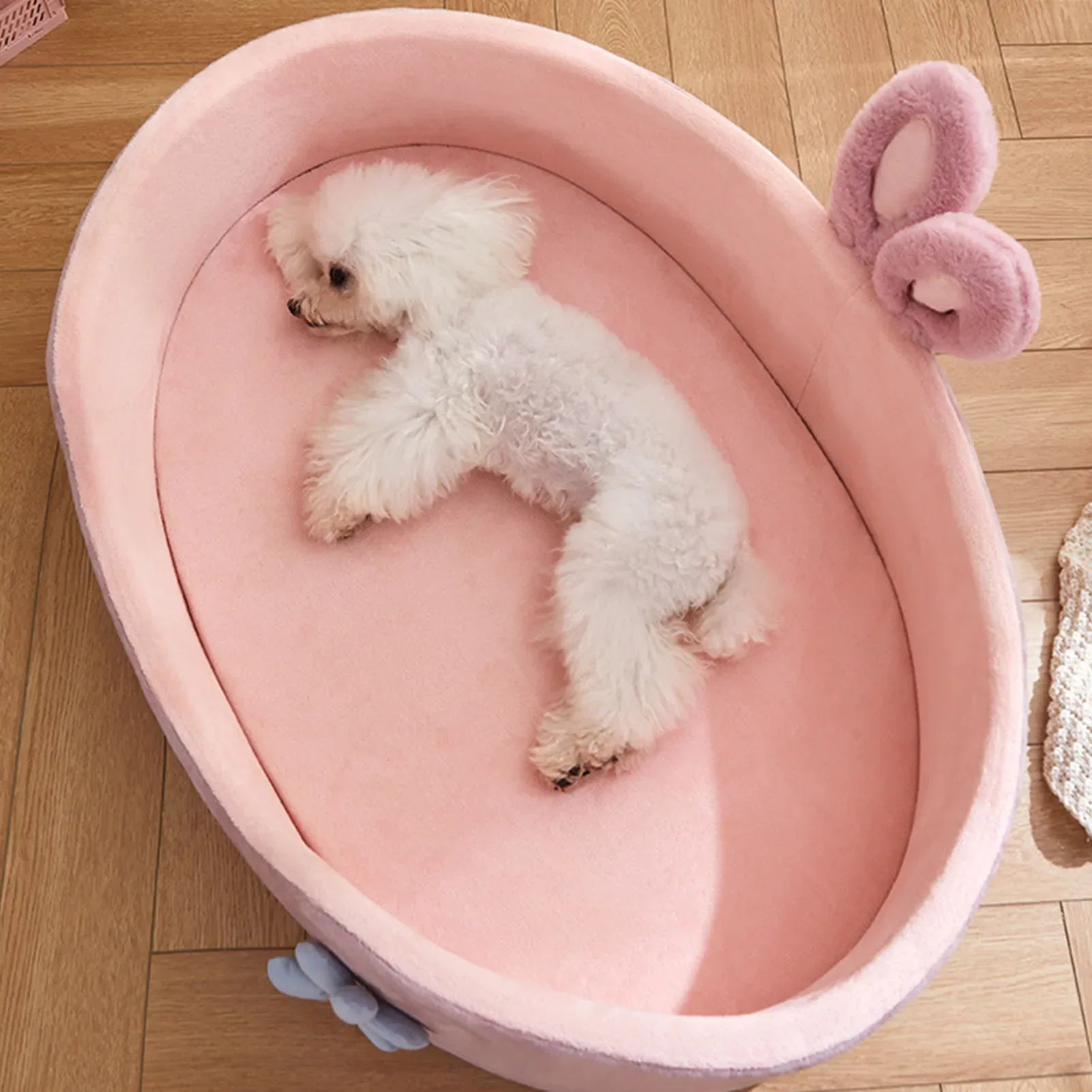 Panier pour Chien