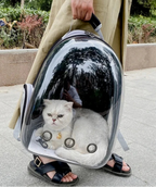 Sac de Transport Transparent pour Chat