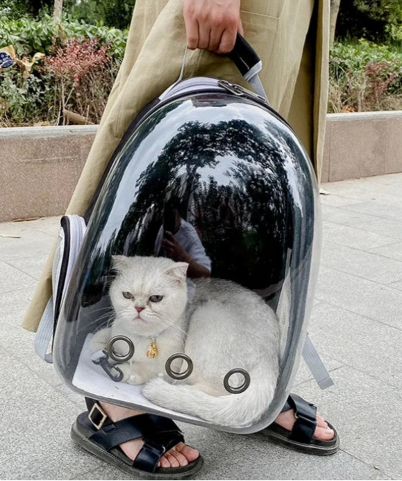 Sac de Transport Transparent pour Chat