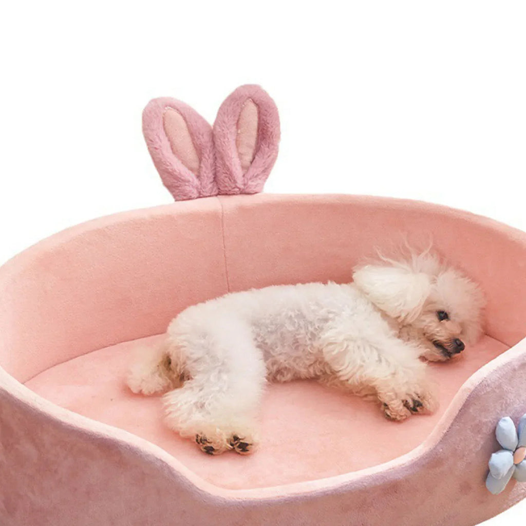 Panier pour Chien