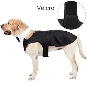 Costume Pour Chien