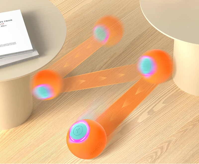 Jouets Interactifs pour Chat