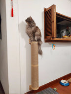 Griffoir a Chat Mural
