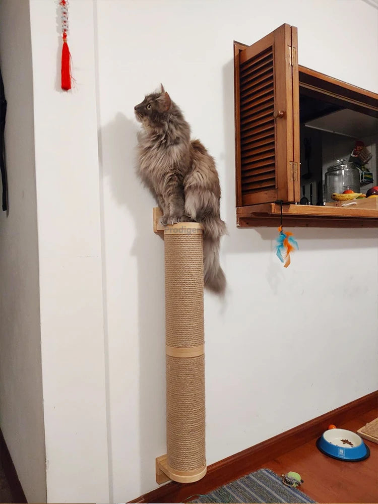 Griffoir a Chat Mural