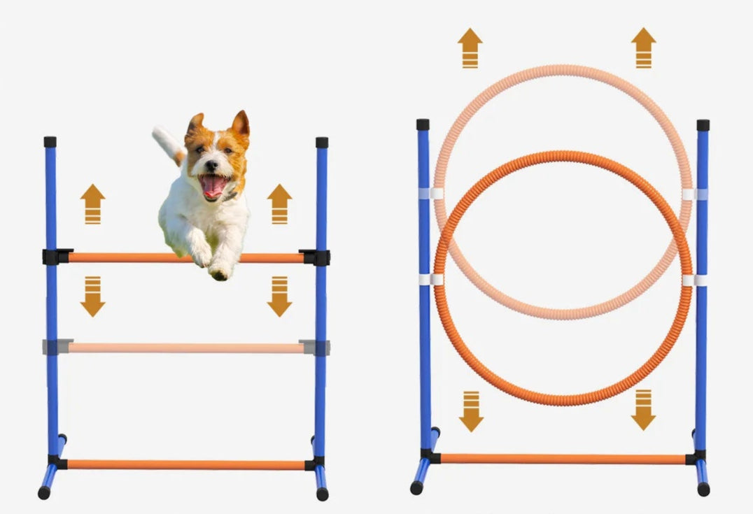 Kit Agilité Pour Chien (4 pièces)