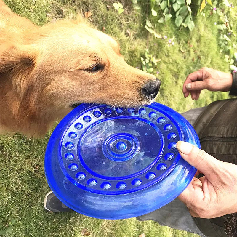 Frisbee Souple pour Chien
