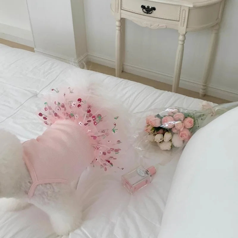 Robe Pour Chienne - Modèle au choix