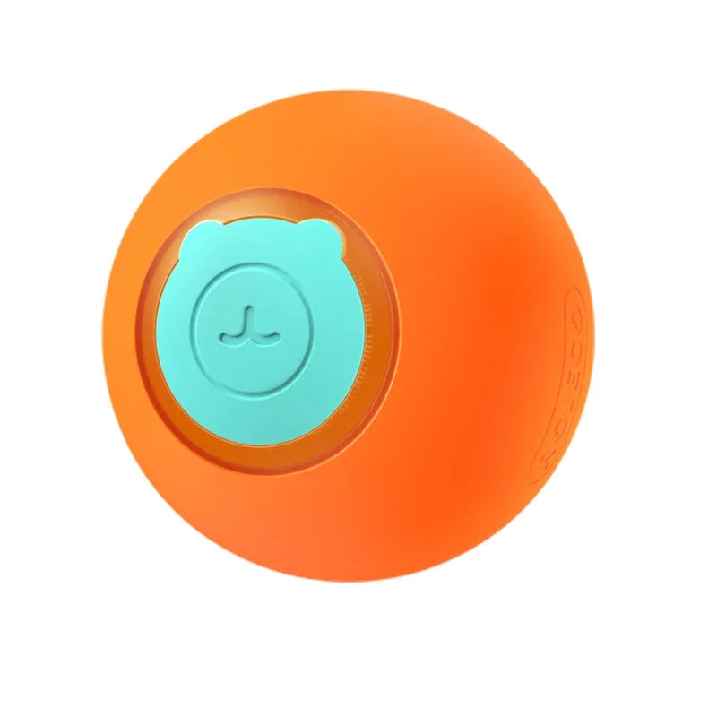 Jouets Interactifs pour Chat