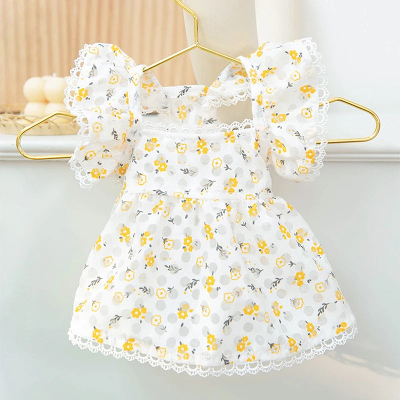 Robe Pour Chienne