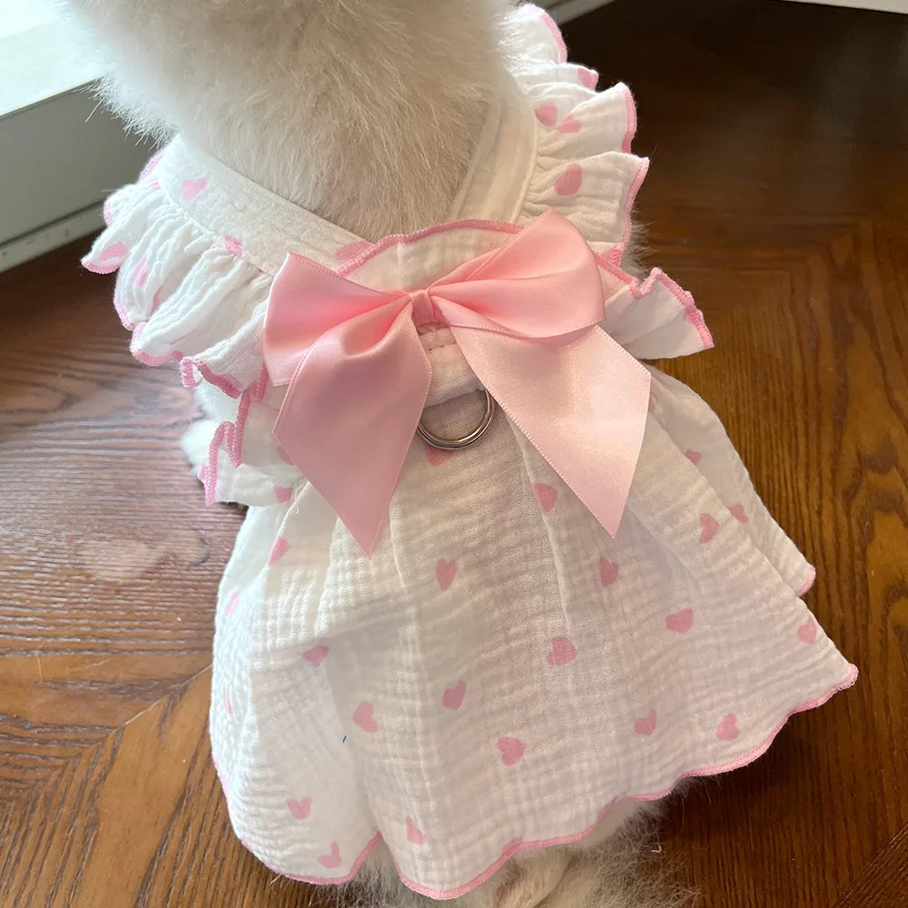 Robe Pour Chien