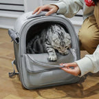 Sac de Transport pour Chat
