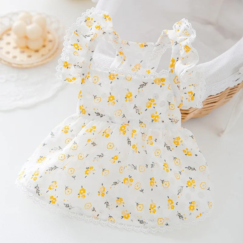 Robe Pour Chienne