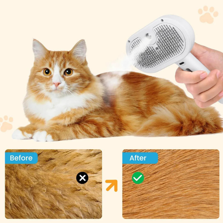 Brosse Vapeur pour Chat