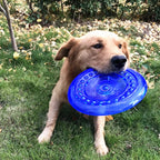 Frisbee Souple pour Chien