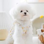 Robe Pour Chienne