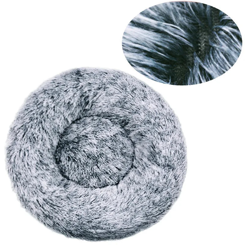 Coussin pour Chien