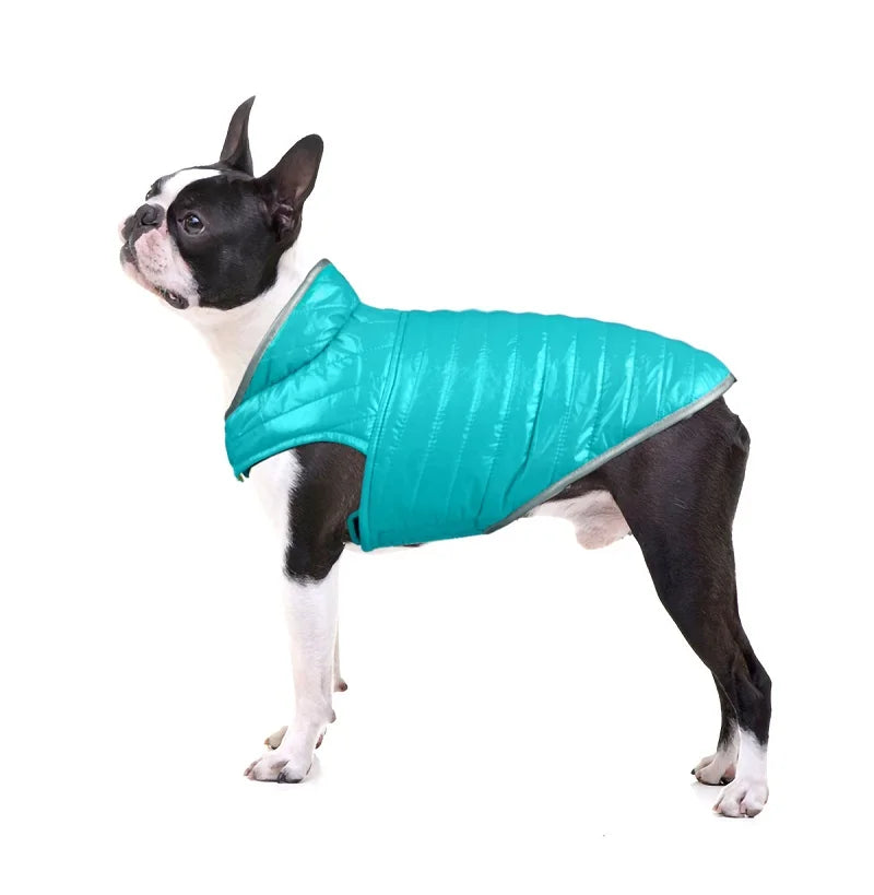 Veste Pour Chien - Doudoune