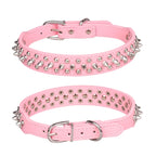 Collier a Pique pour Chien