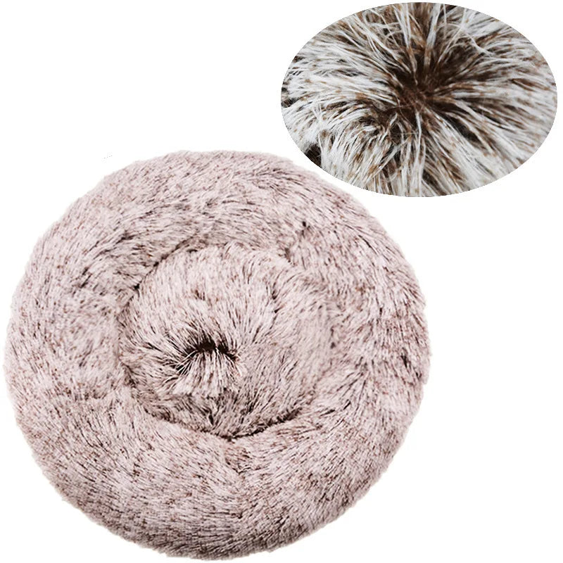 Coussin pour Chien