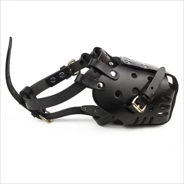 Muselière en Cuir