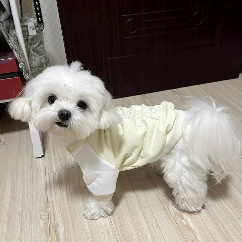 Gilet Pour Chien