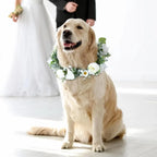 Collier de Fleurs pour Chien