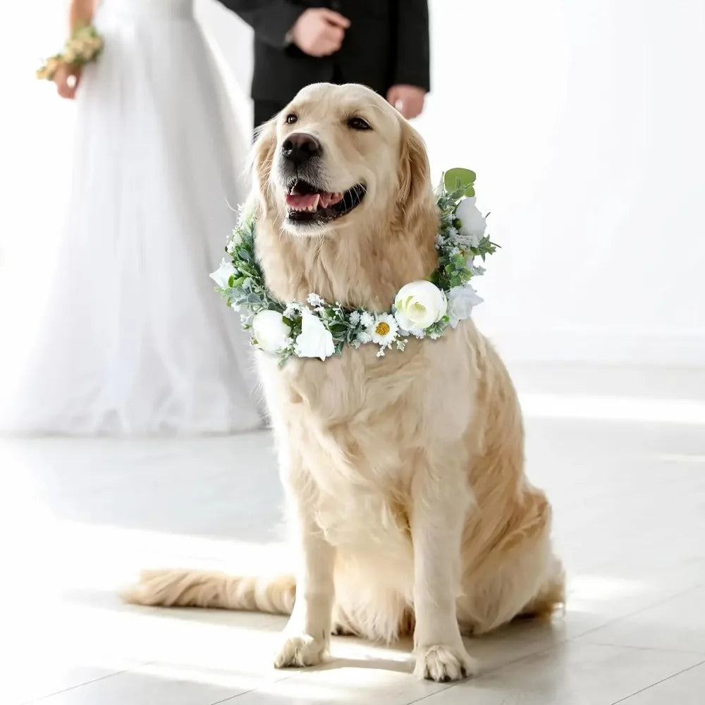 Collier de Fleurs pour Chien