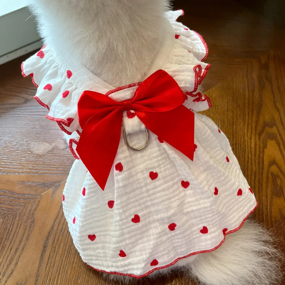 Robe Pour Chien