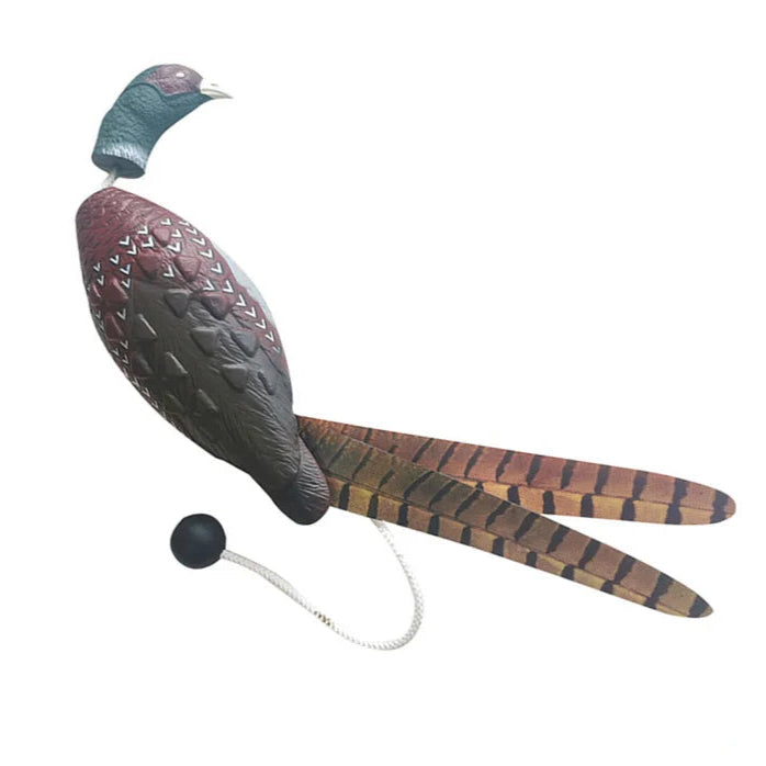 Jouet Canard pour Chien