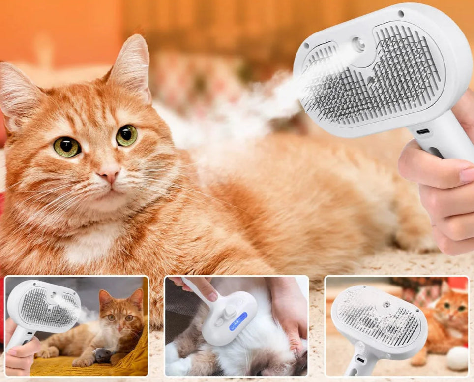 Brosse Vapeur pour Chat