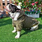 Veste Pour Chien - Au Choix