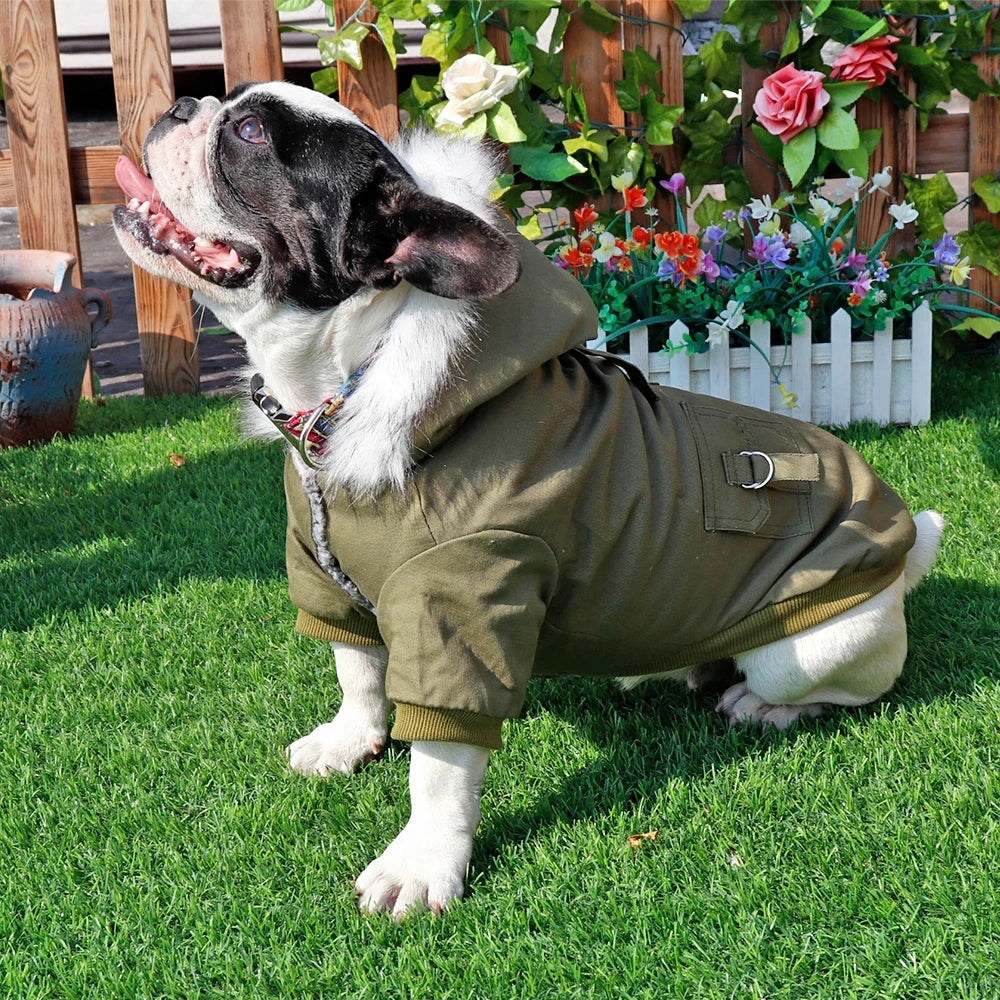 Veste Pour Chien - Au Choix