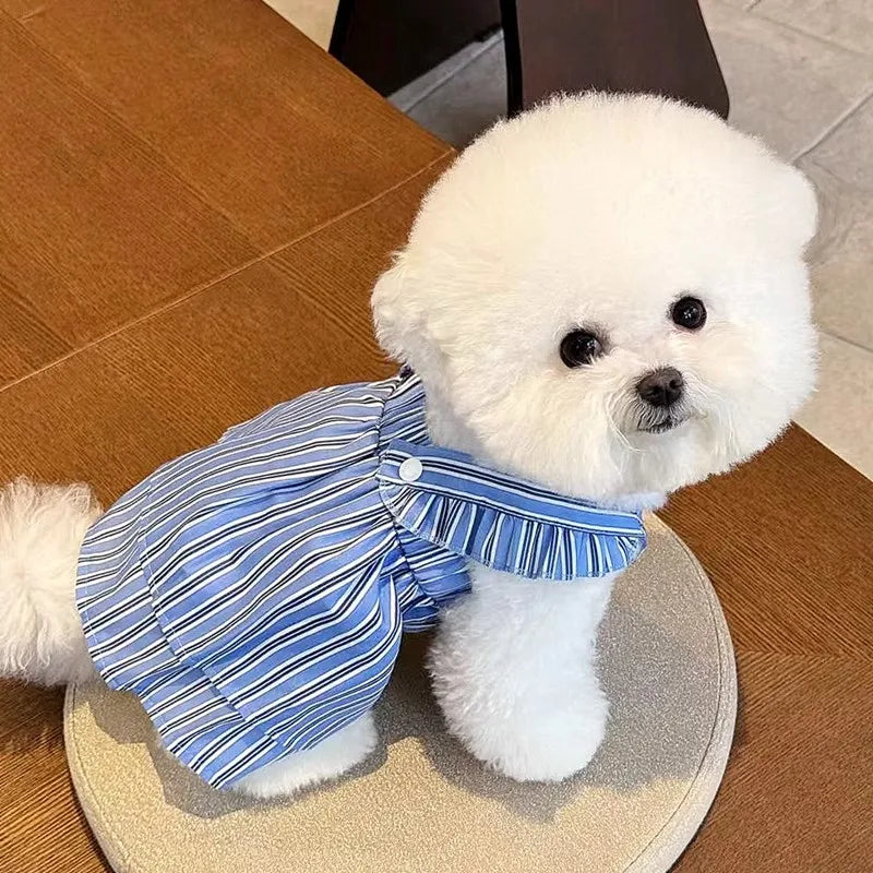 Robe Pour Chien - Au Choix