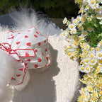 Robe Pour Chien - Au Choix
