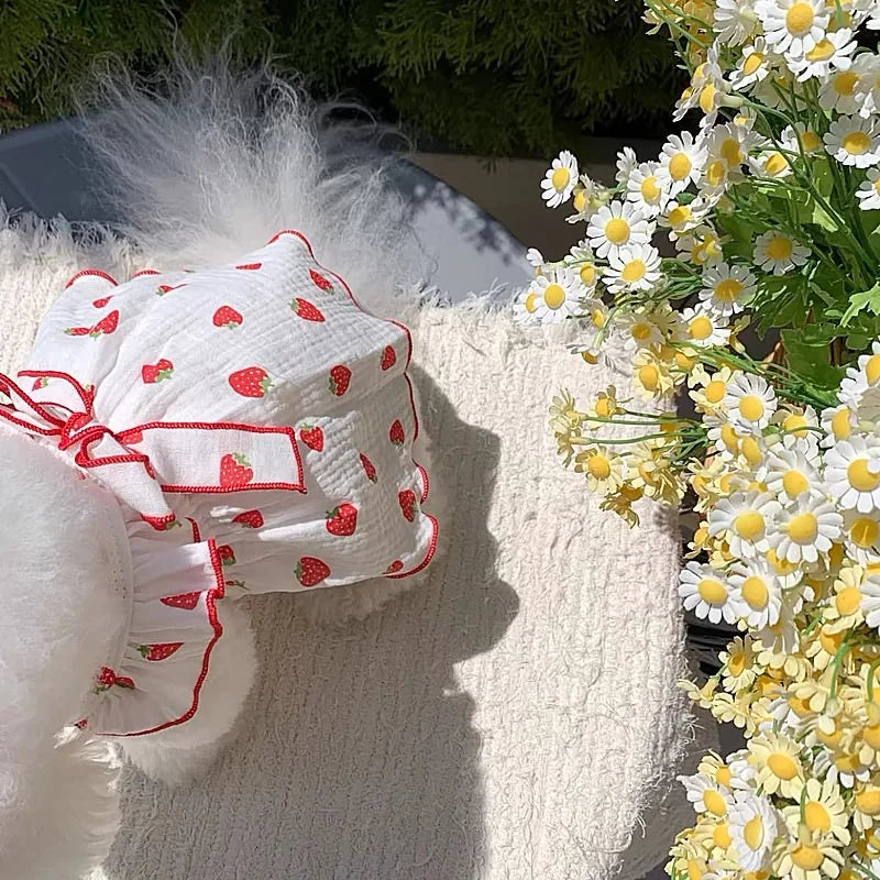 Robe Pour Chien - Au Choix