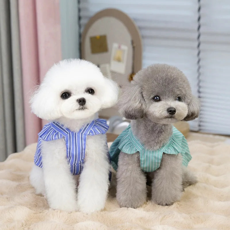 Robe Pour Chien - Au Choix