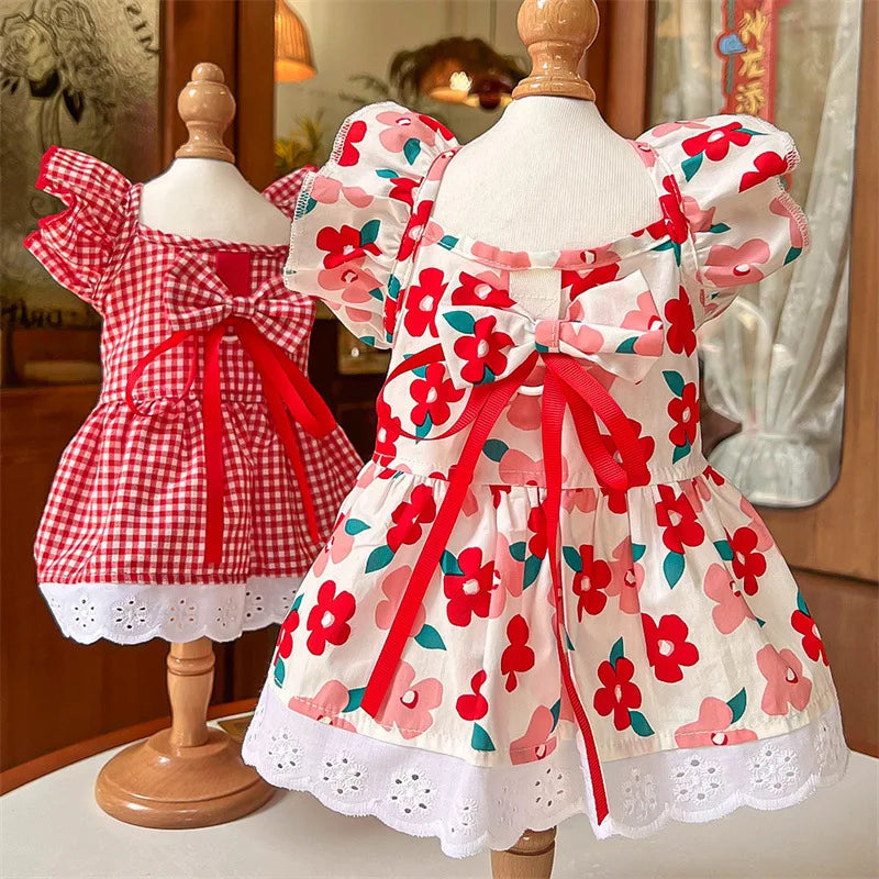 Robe Pour Chat