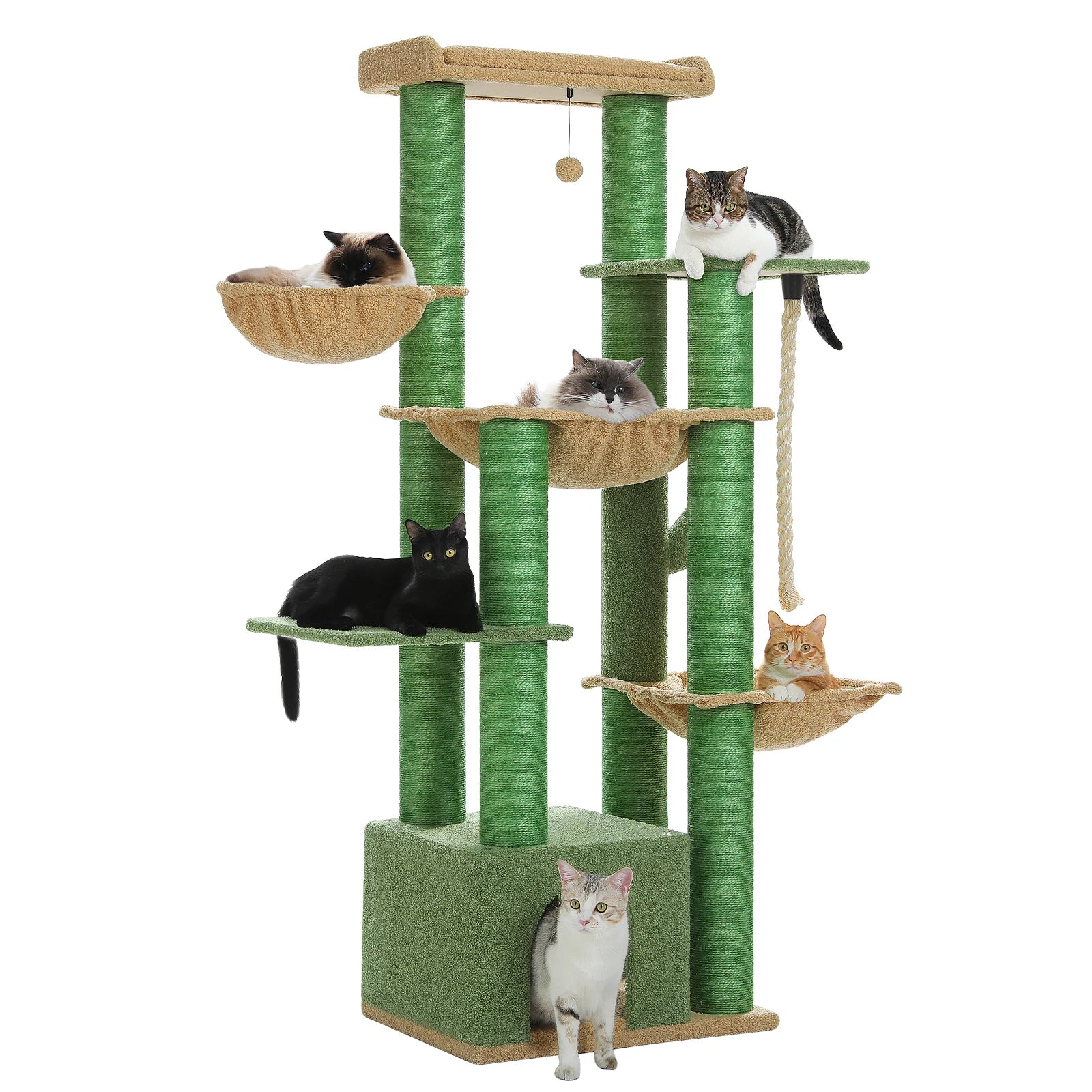 Arbre a Chats
